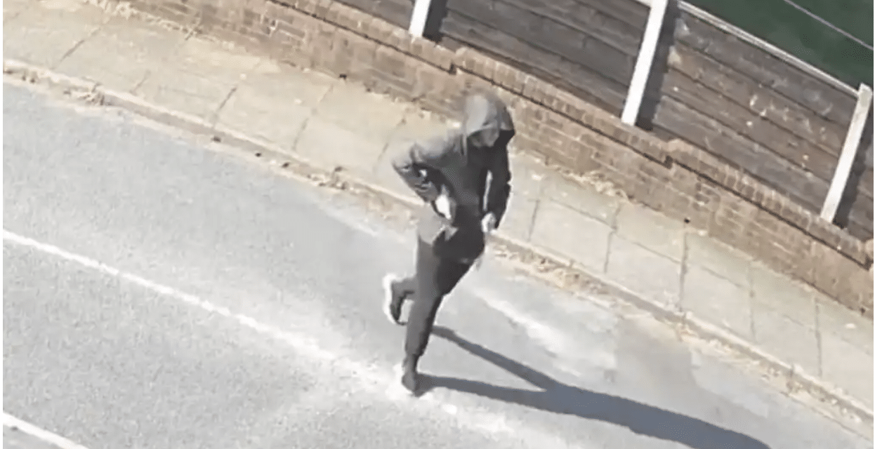 DEMONIC: Masked man ‘randomly stabs elderly woman in her neck’ as she gardens outside home